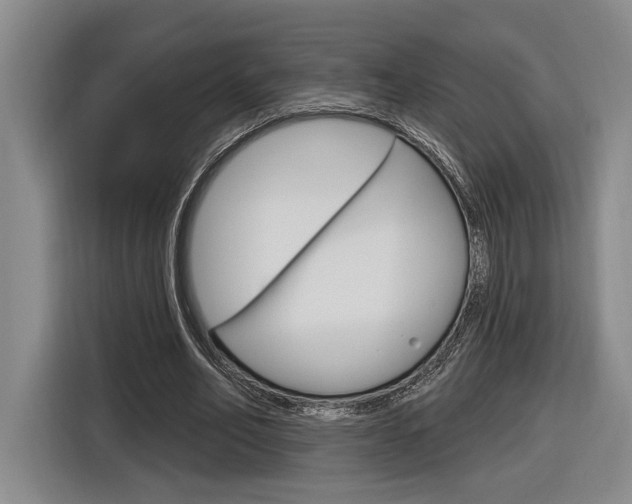 X0000116890582200912221006