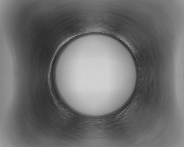 X0000116890583200912221006