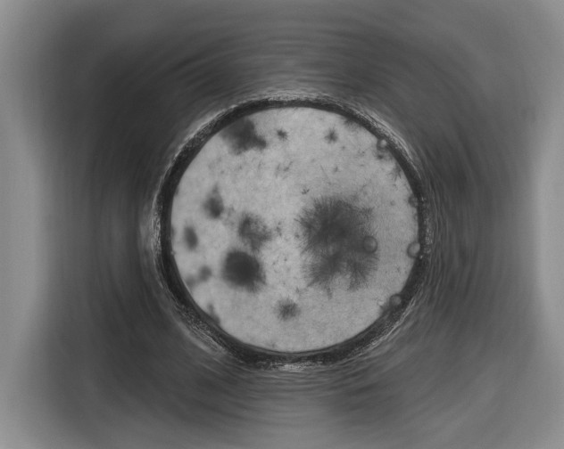 X0000116890584200912221006