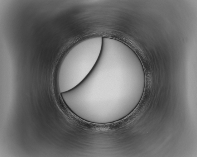 X0000116890586200912221006