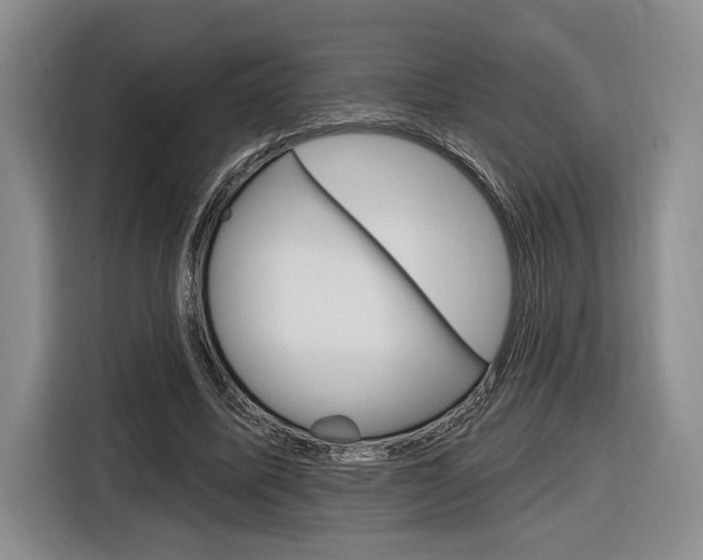 X0000116890587200912221006