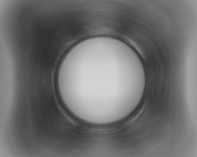 X0000116890589200912221006