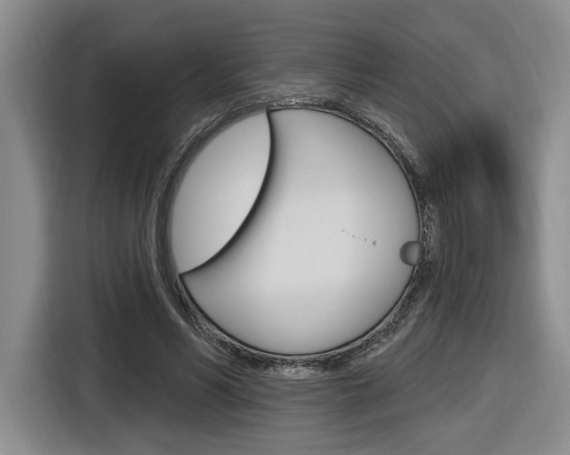 X0000116890590200912221006
