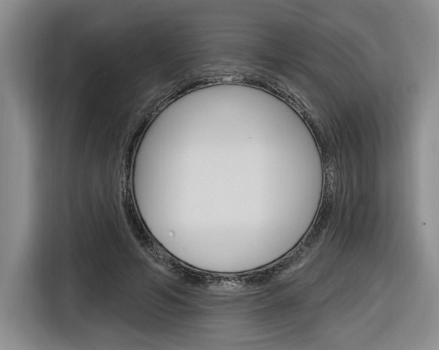 X0000116890594200912221006
