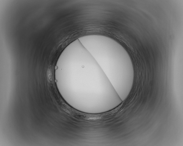 X0000116890595200912221006