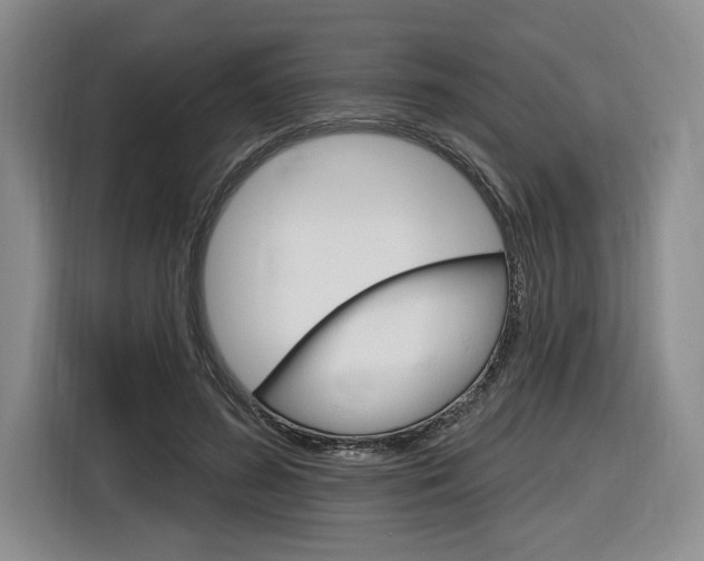 X0000116890596200912221006