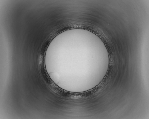 X0000116890598200912221006