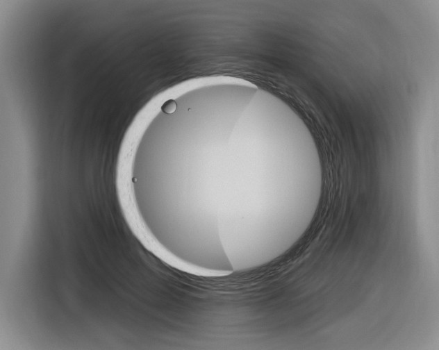 X0000116890599200912221006
