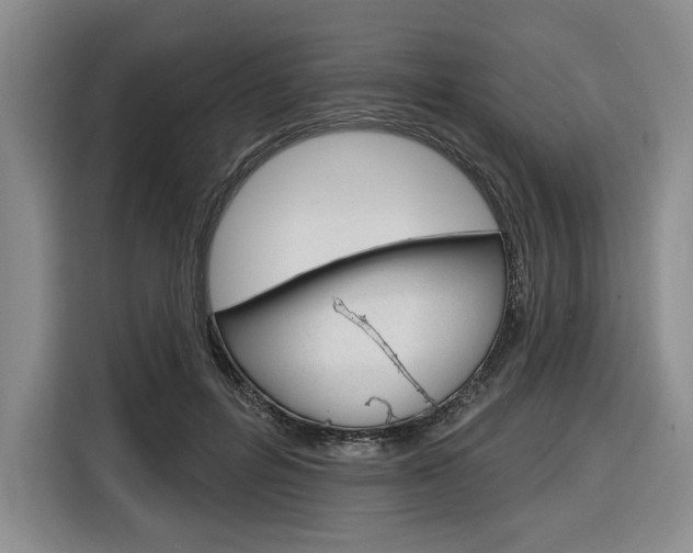 X0000116890600200912221006