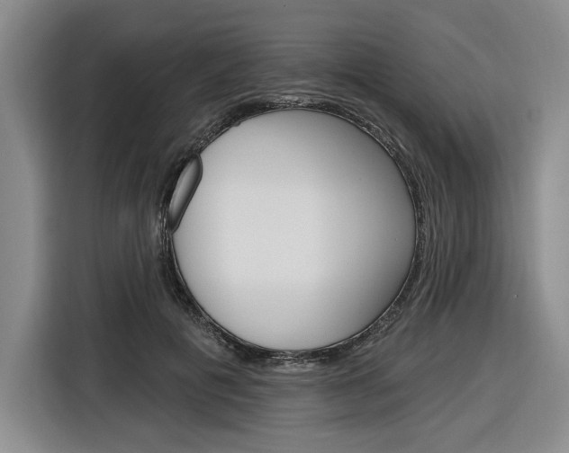 X0000116890601200912221006