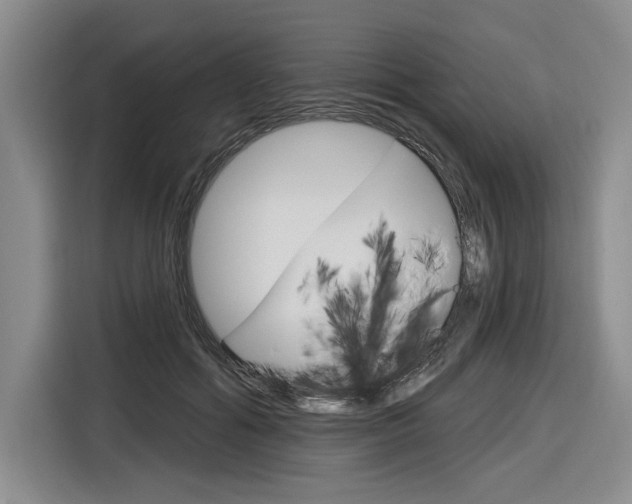 X0000116890602200912221006