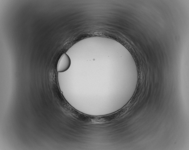 X0000116890603200912221006