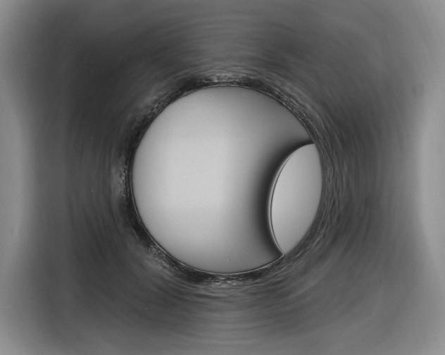 X0000116890604200912221006
