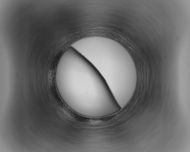 X0000116890605200912221006