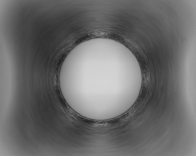 X0000116890606200912221006