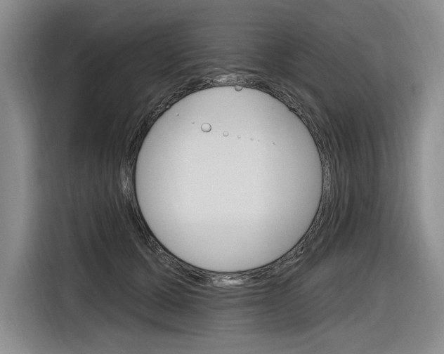 X0000116890607200912221005