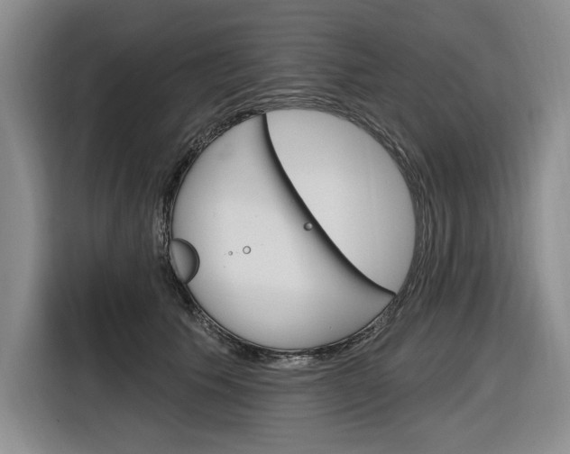 X0000116890609200912221005