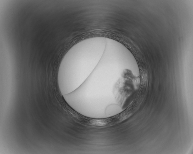 X0000116890610200912221005