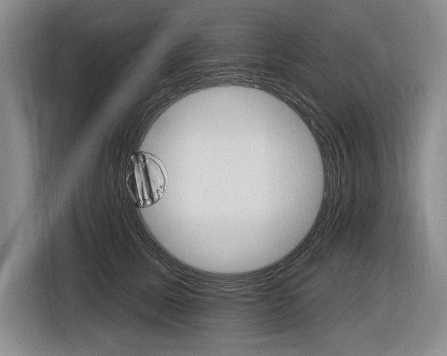 X0000116890611200912221005