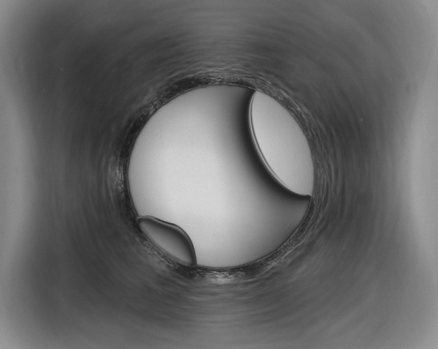 X0000116890613200912221005