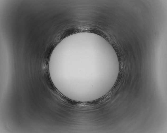 X0000116890614200912221005