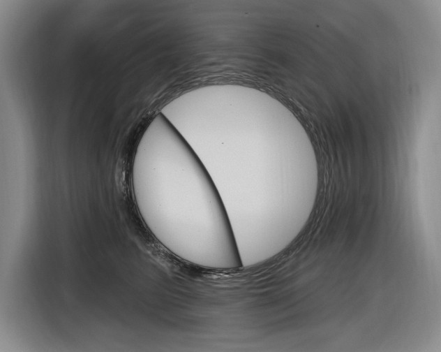 X0000116890615200912221005