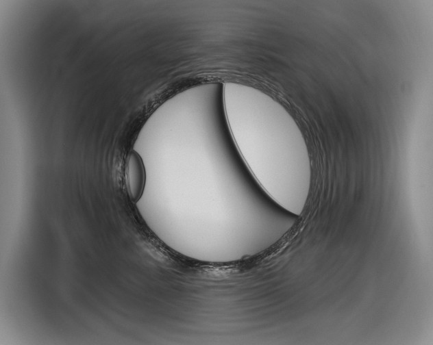 X0000116890619200912221005