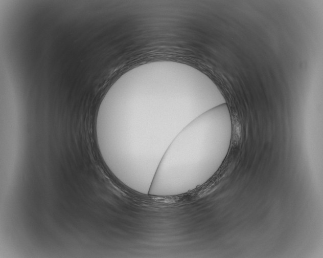 X0000116890620200912221005