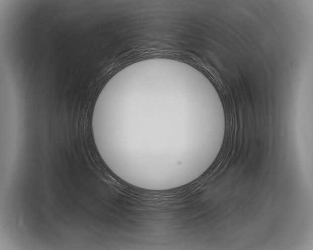 X0000116890621200912221005