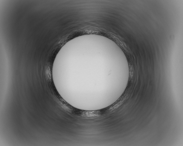 X0000116890622200912221005