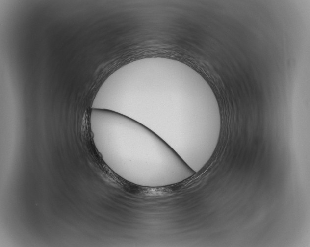 X0000116890623200912221005