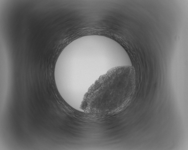 X0000116890624200912221005