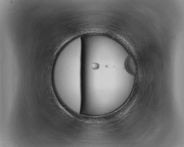 X0000116890625200912221005