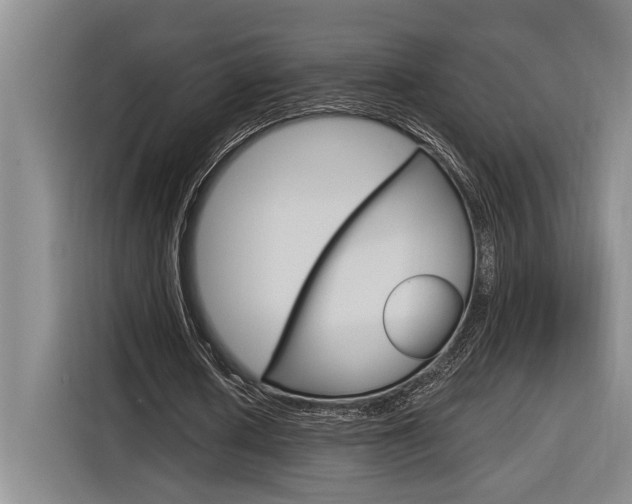X0000116890626200912221005