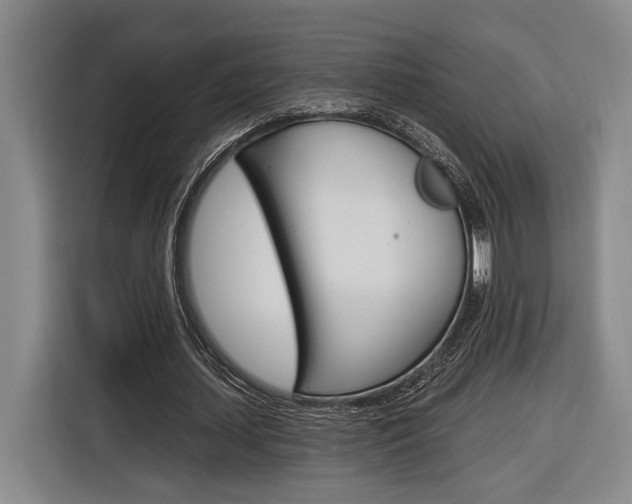 X0000116890627200912221005