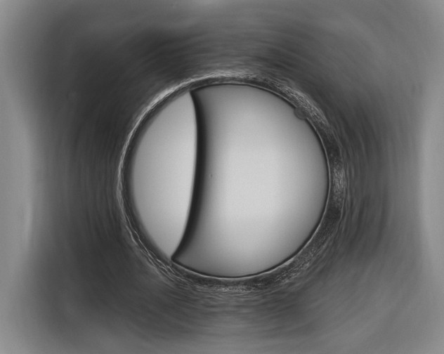 X0000116890628200912221005
