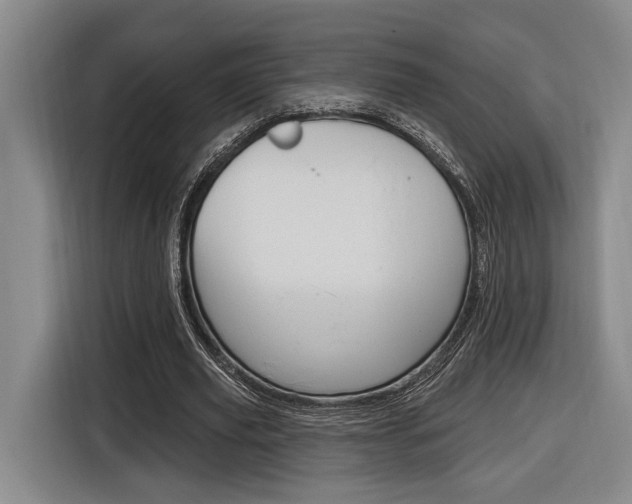 X0000116890629200912221005