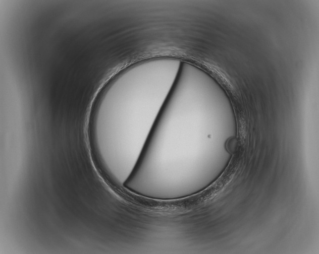 X0000116890630200912221005