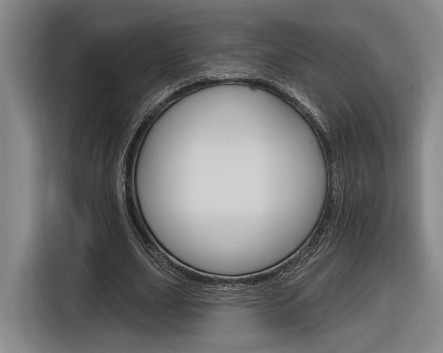 X0000116890631200912221005