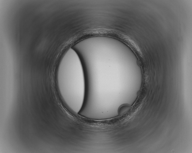 X0000116890633200912221005