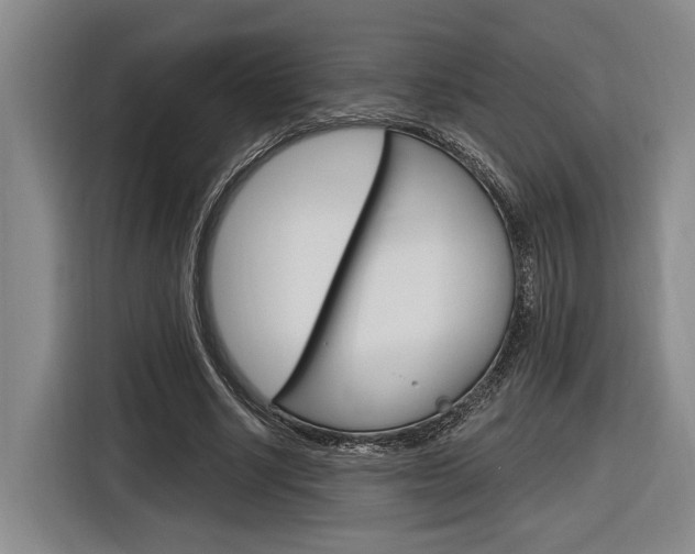X0000116890634200912221005