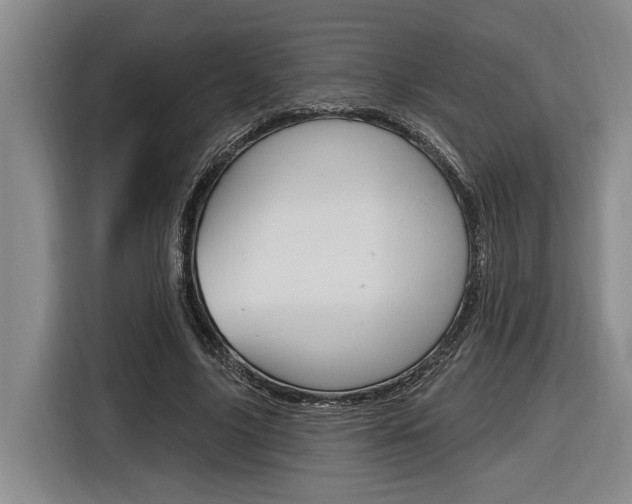 X0000116890635200912221005