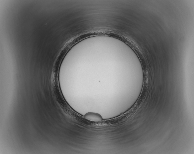 X0000116890636200912221005
