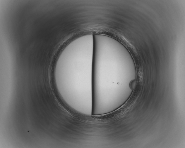 X0000116890637200912221005