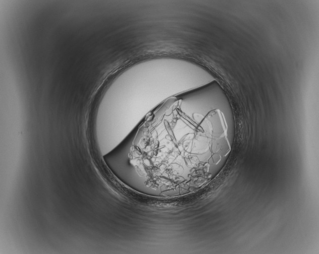 X0000116890638200912221005
