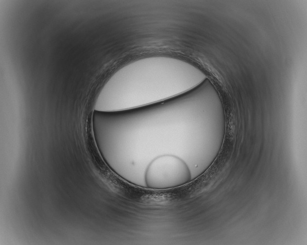 X0000116890639200912221005