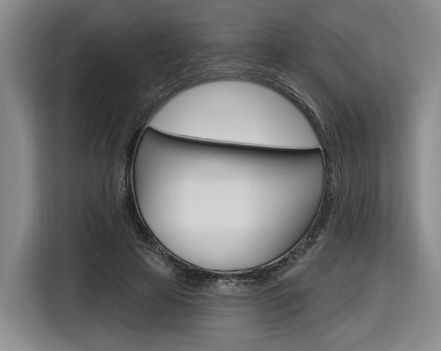 X0000116890641200912221005