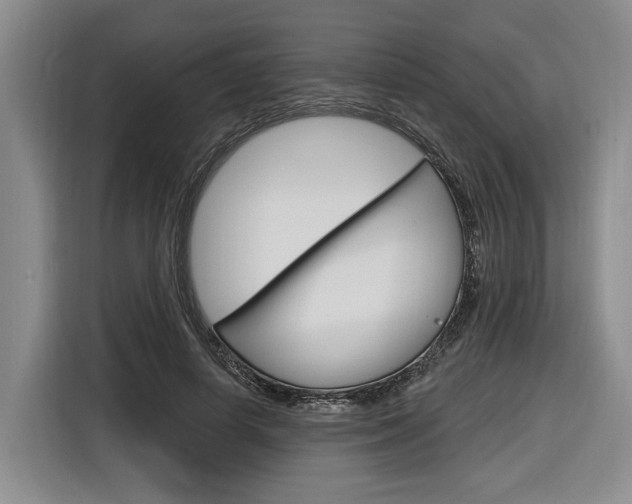 X0000116890642200912221005