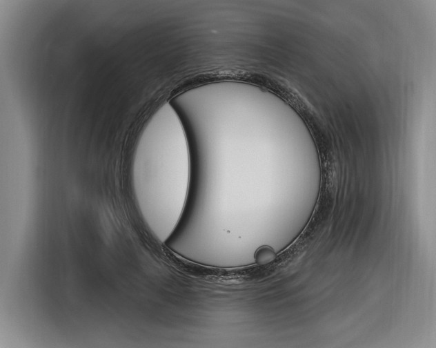 X0000116890643200912221005