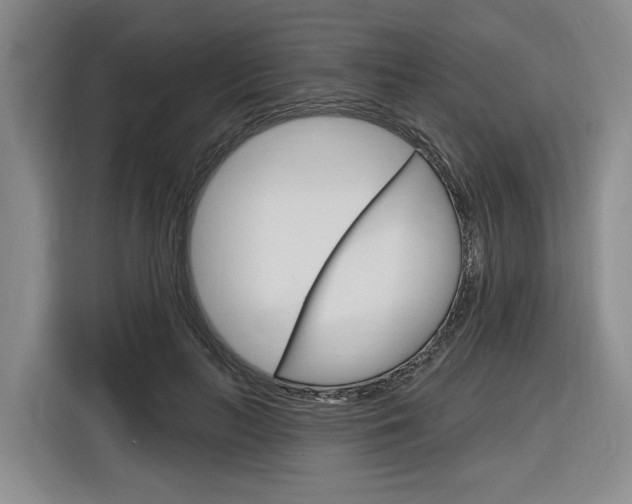 X0000116890647200912221005